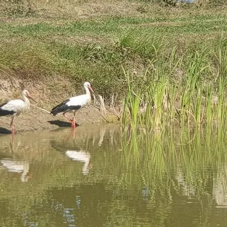 Casa de Férias Nad Stawem - Mazury *